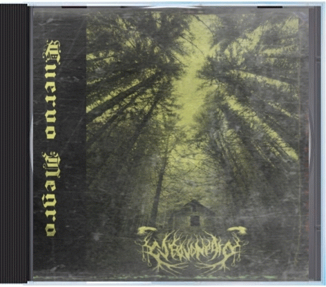 Cuervo Negro : La Bruja del Bosque